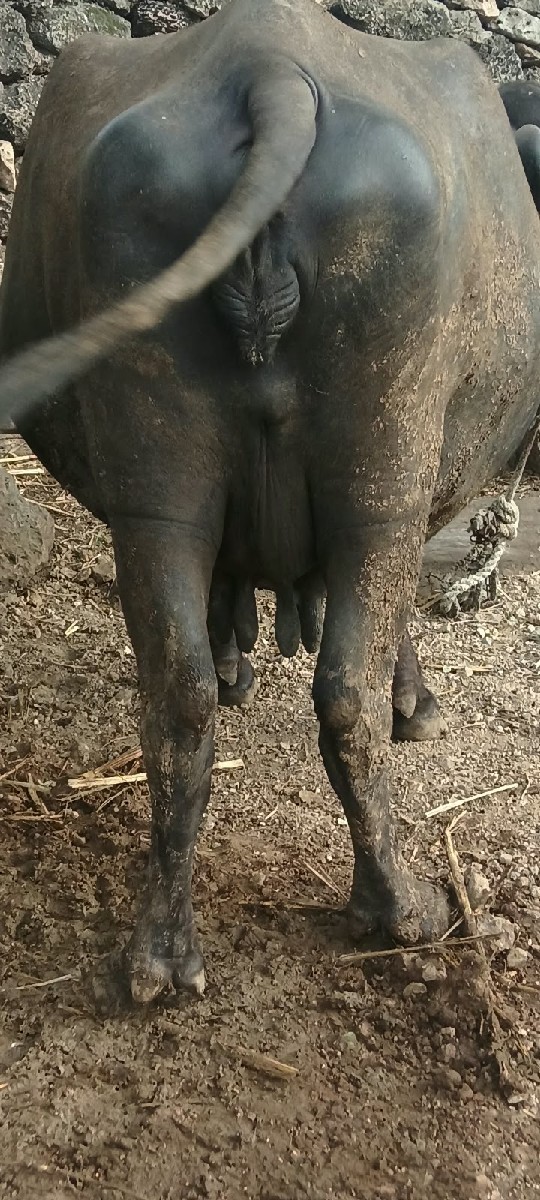 Post Image 6