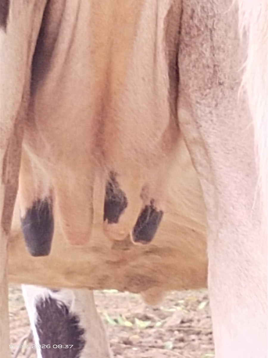 Post Image 2