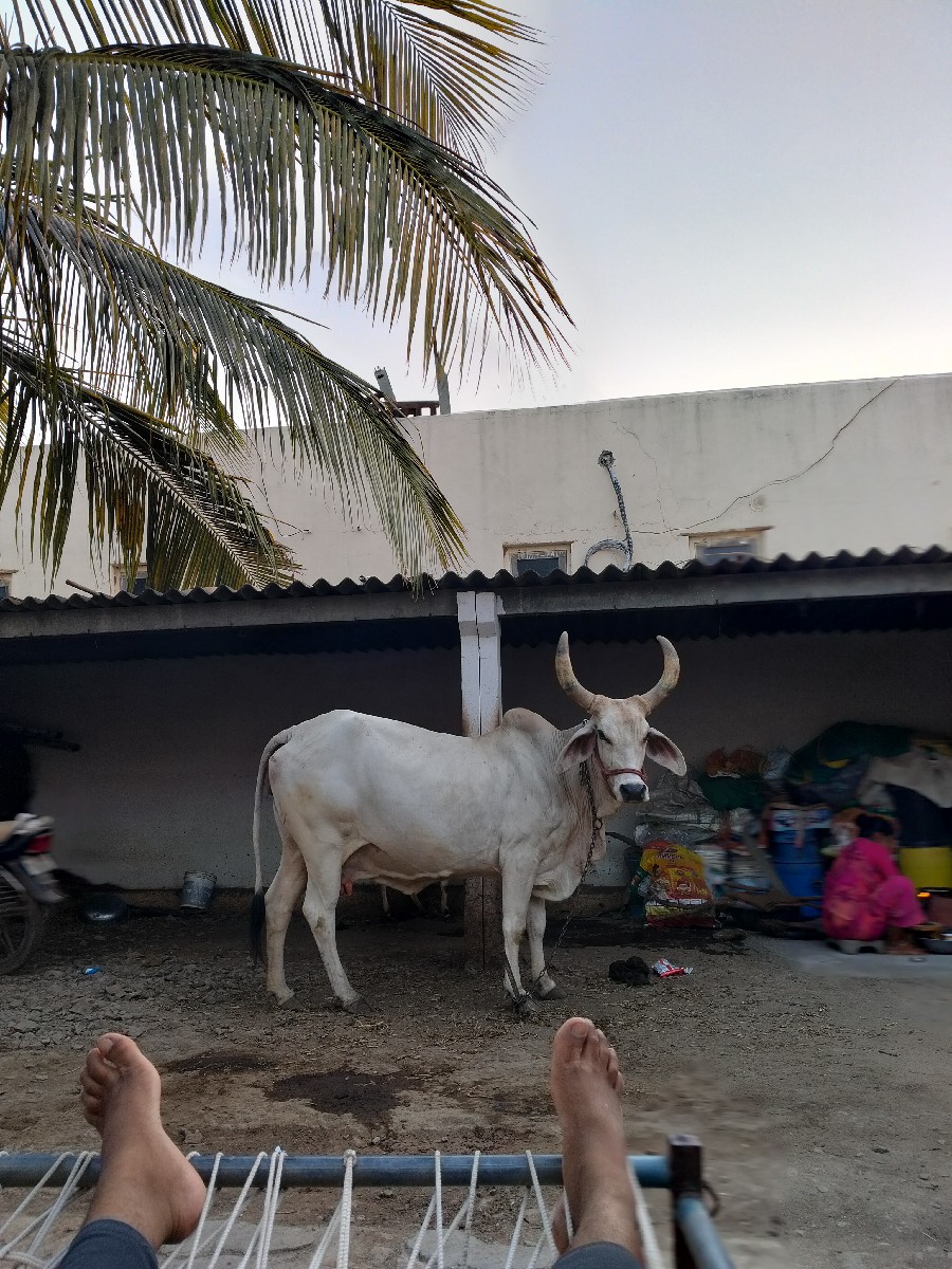 Post Image 2