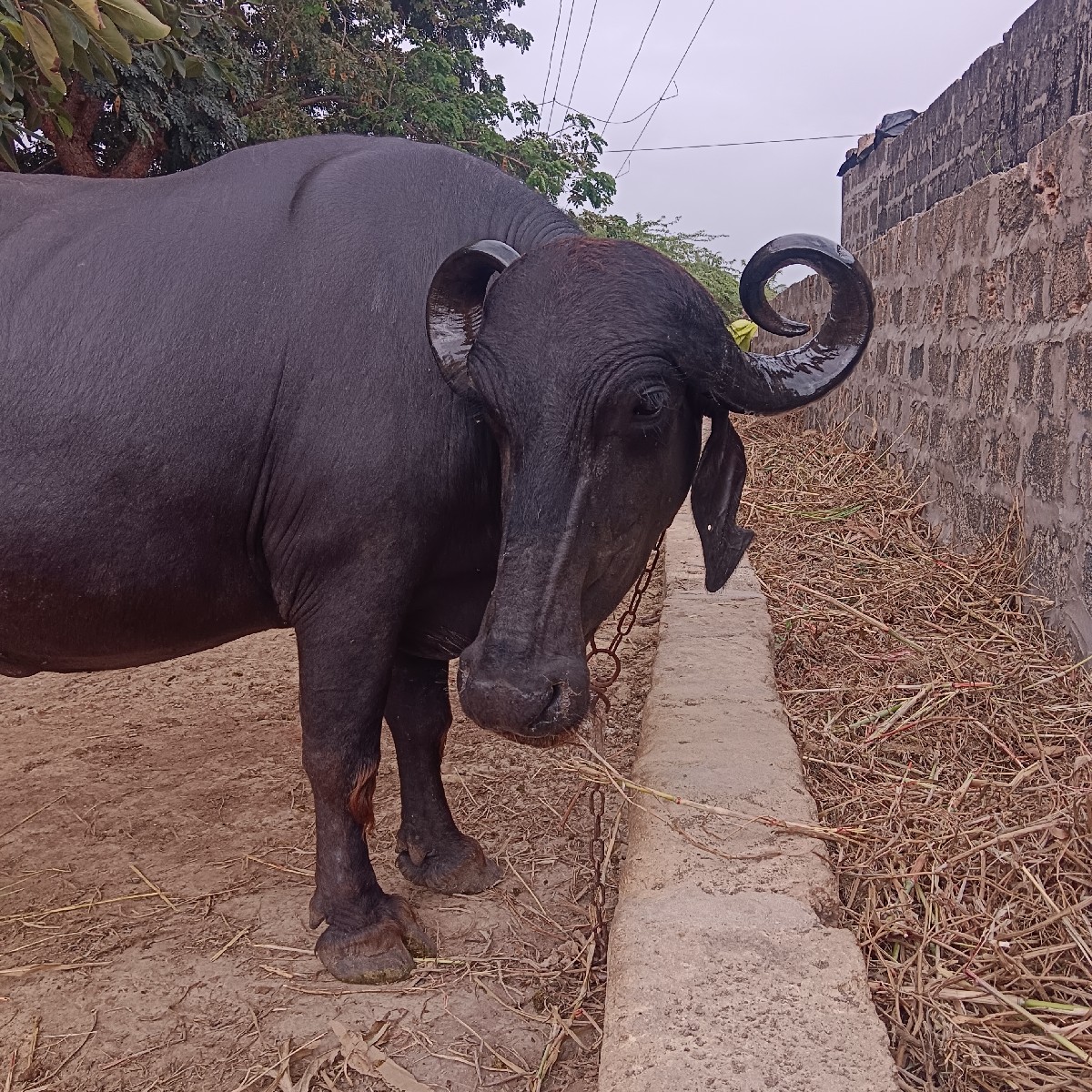Post Image 2