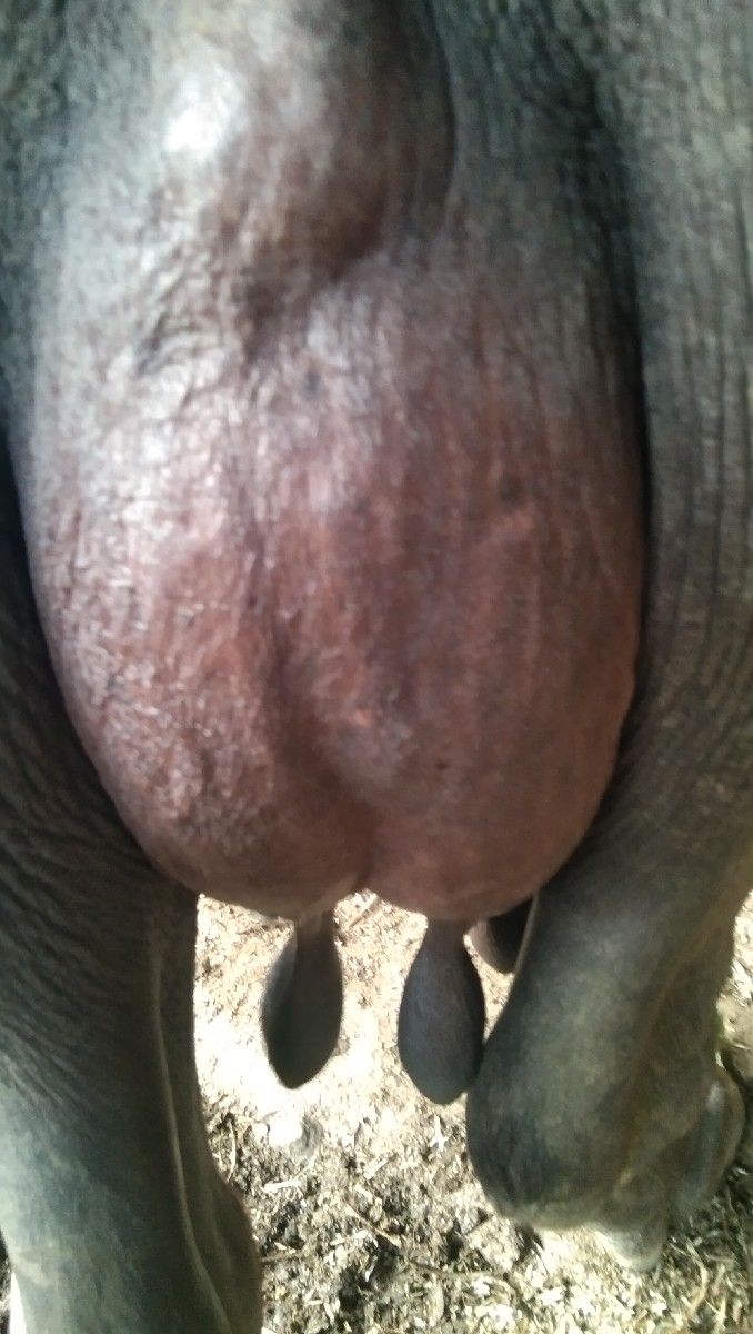 Post Image 3