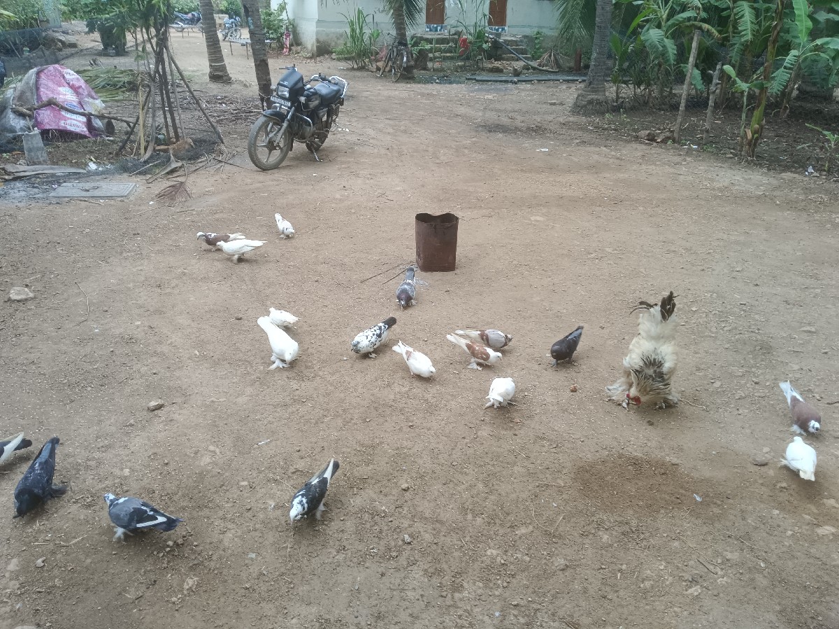 Post Image 2