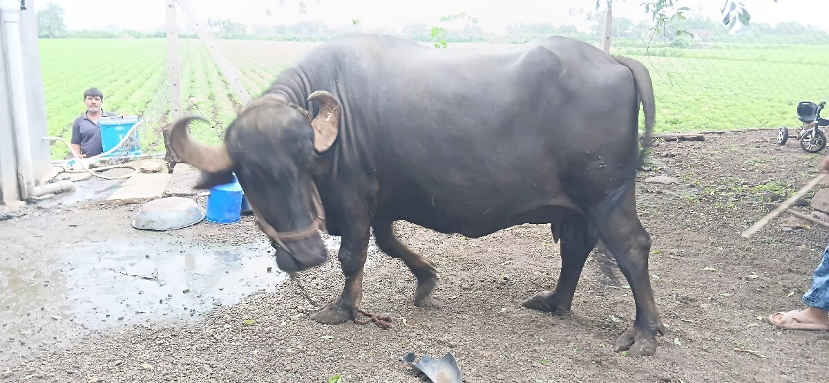 Post Image 3