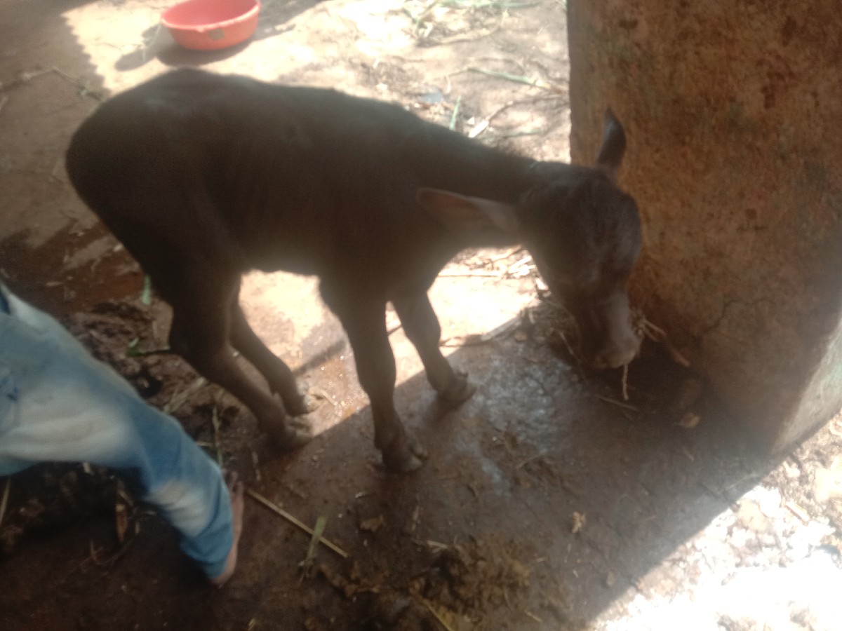Post Image 6