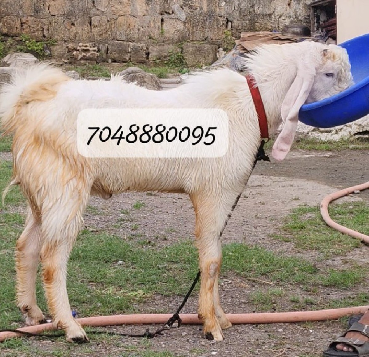 Post Image 2