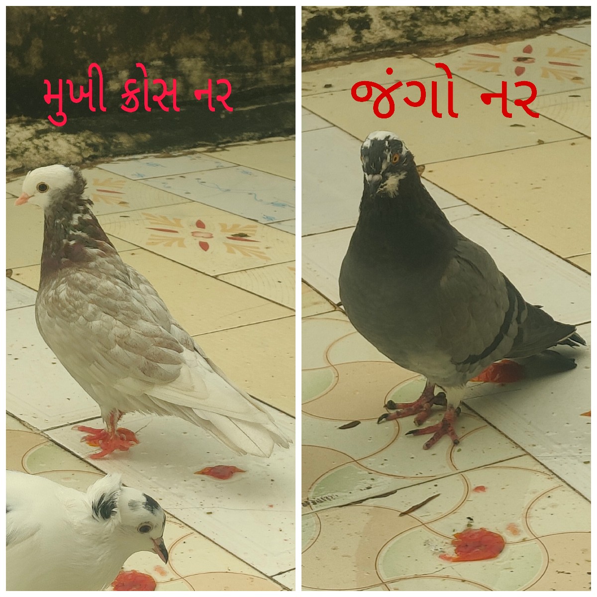 Post Image 2