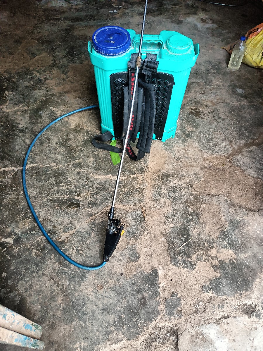Post Image 2