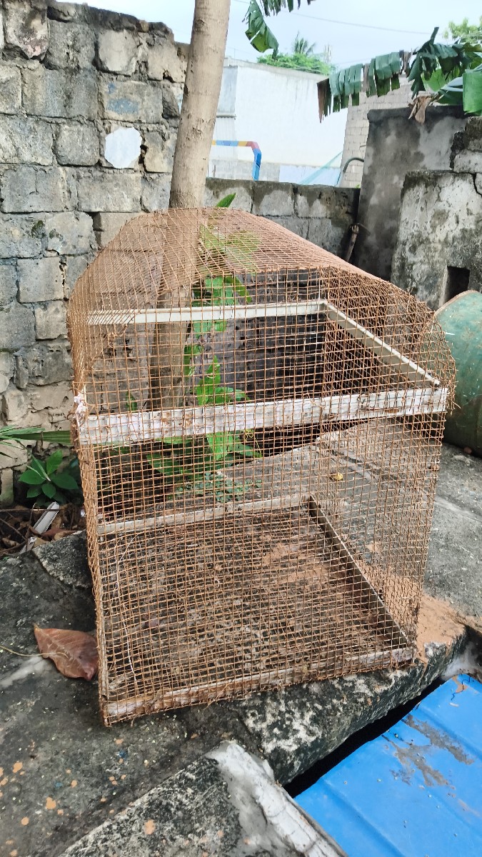 Post Image 1