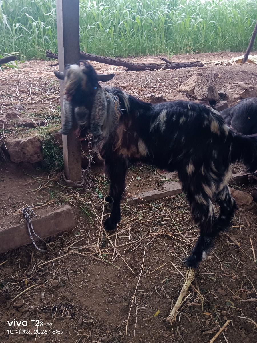 Post Image 2