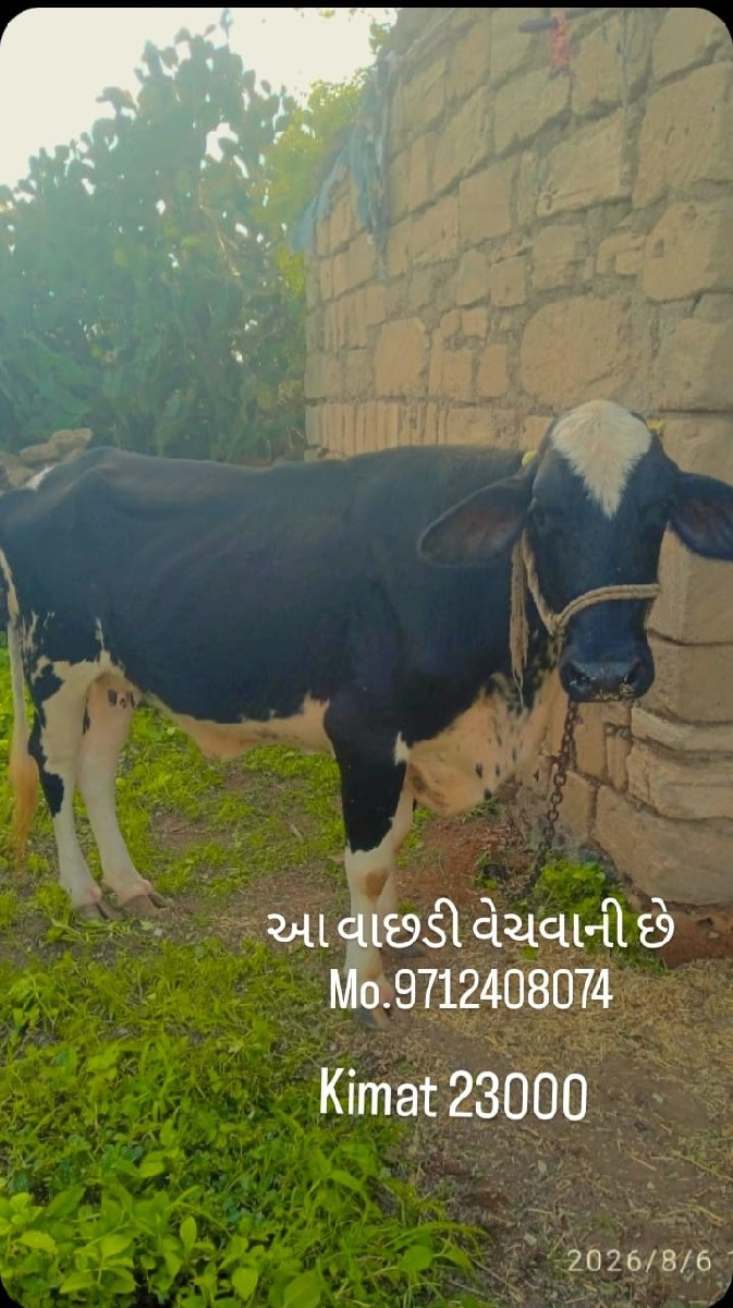 Post Image 2