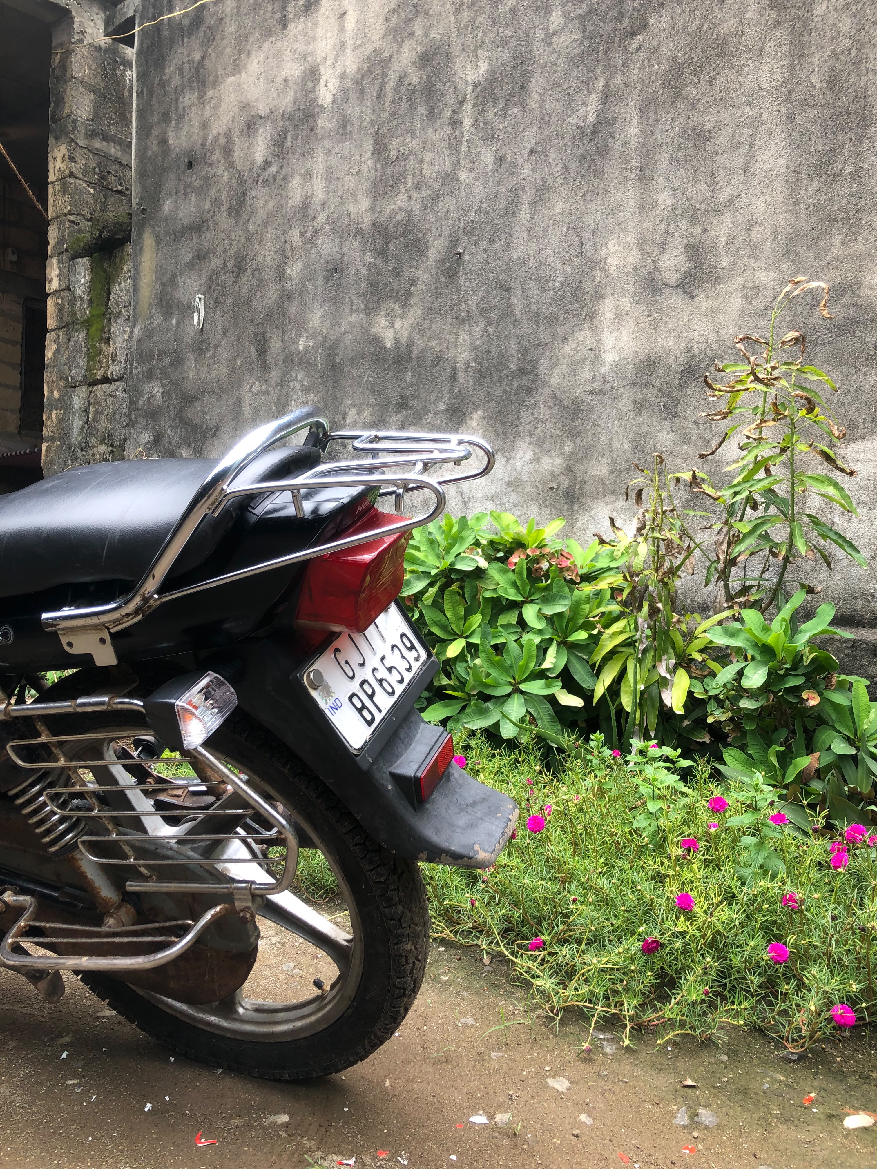 Post Image 2