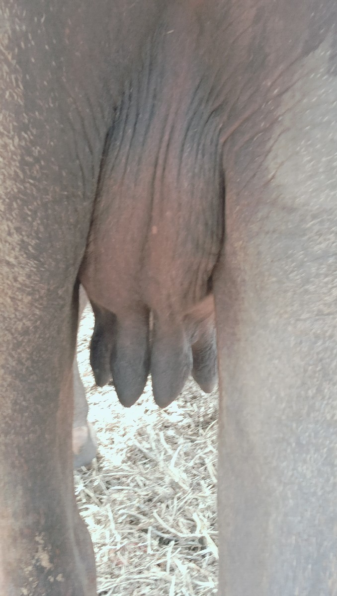 Post Image 3