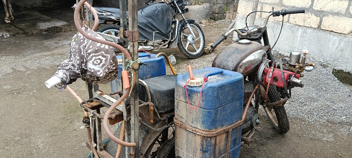 Post Image 3