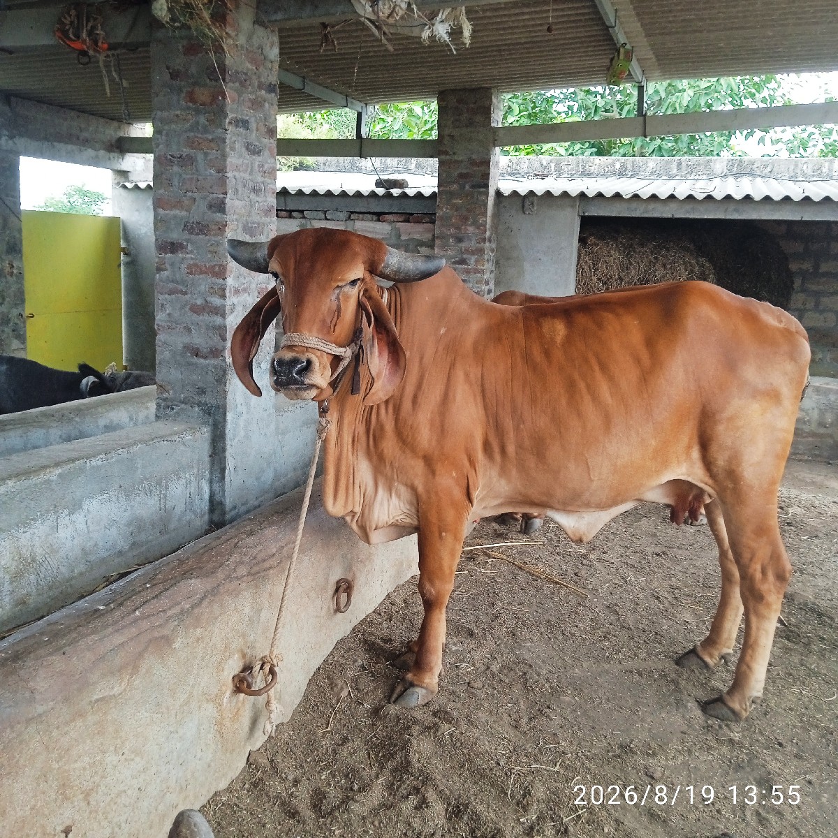 Post Image 1