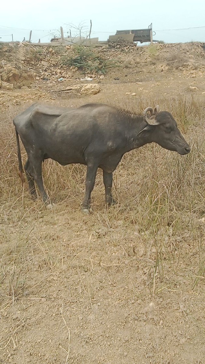 Post Image 1