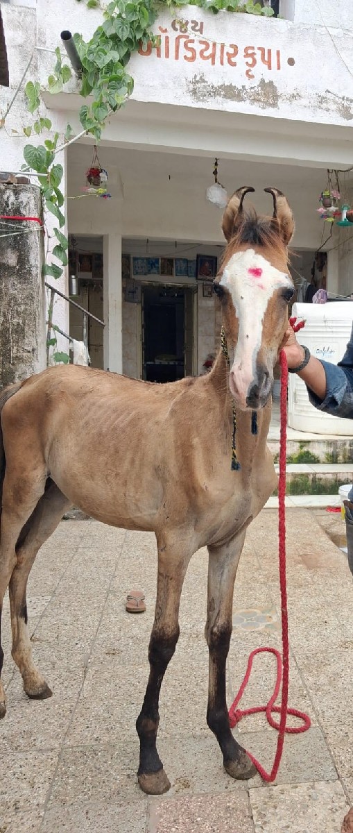 Post Image 2