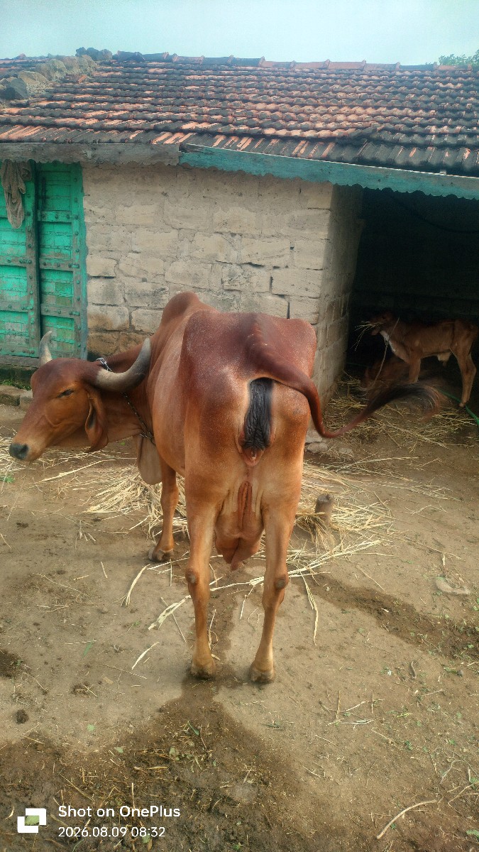 Post Image 2