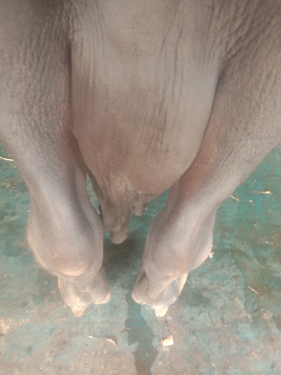 Post Image 5