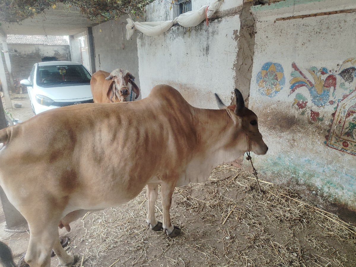 Post Image 2