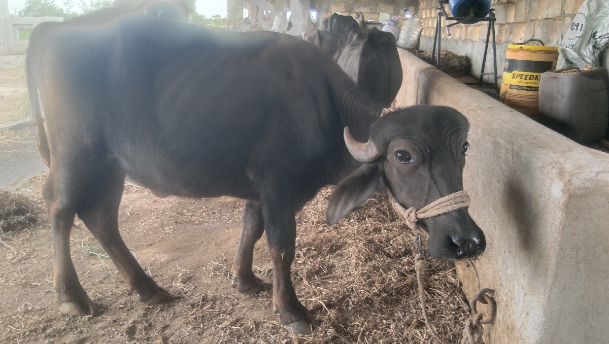 Post Image 5