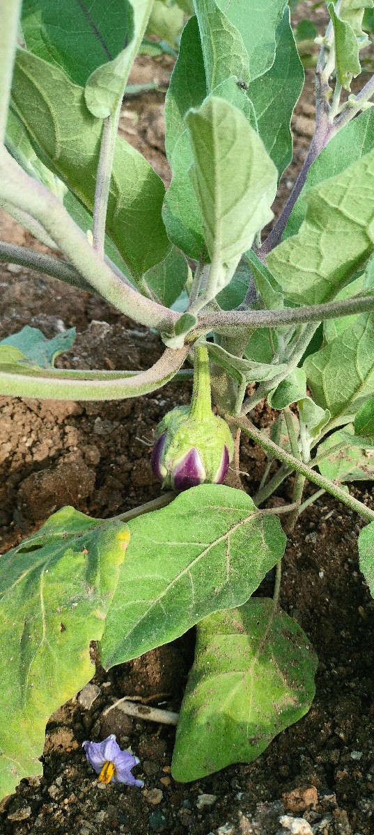 Post Image 2