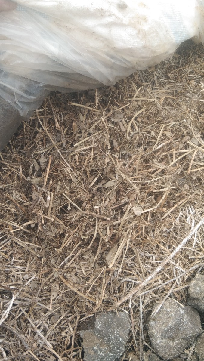 Post Image 4