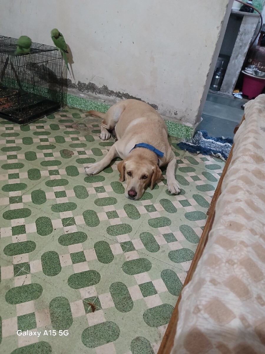 Post Image 1