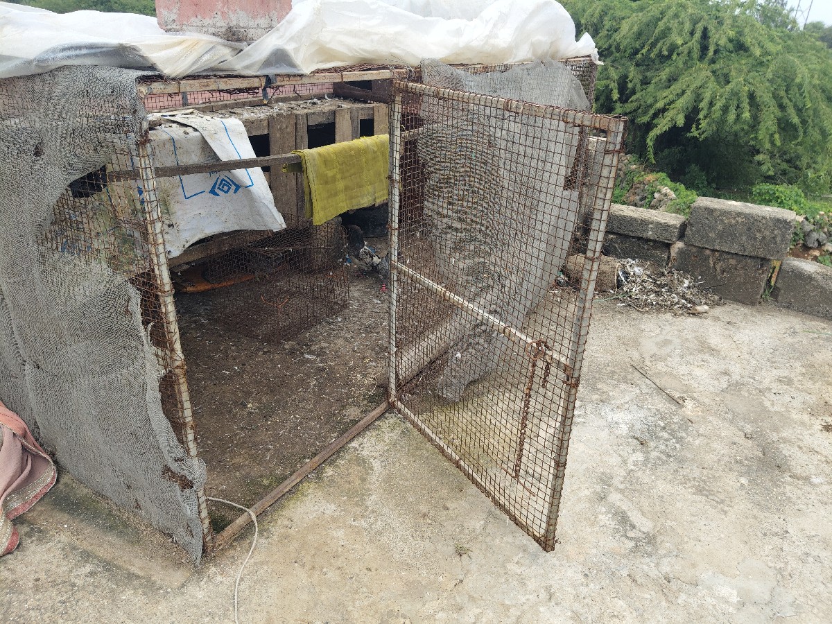 Post Image 3