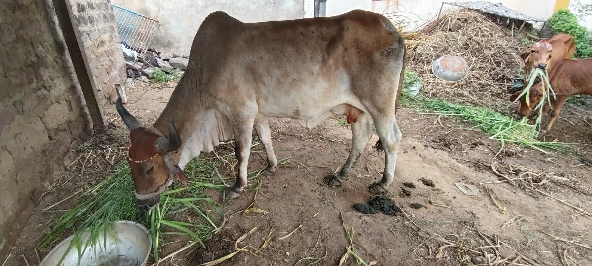 Post Image 3