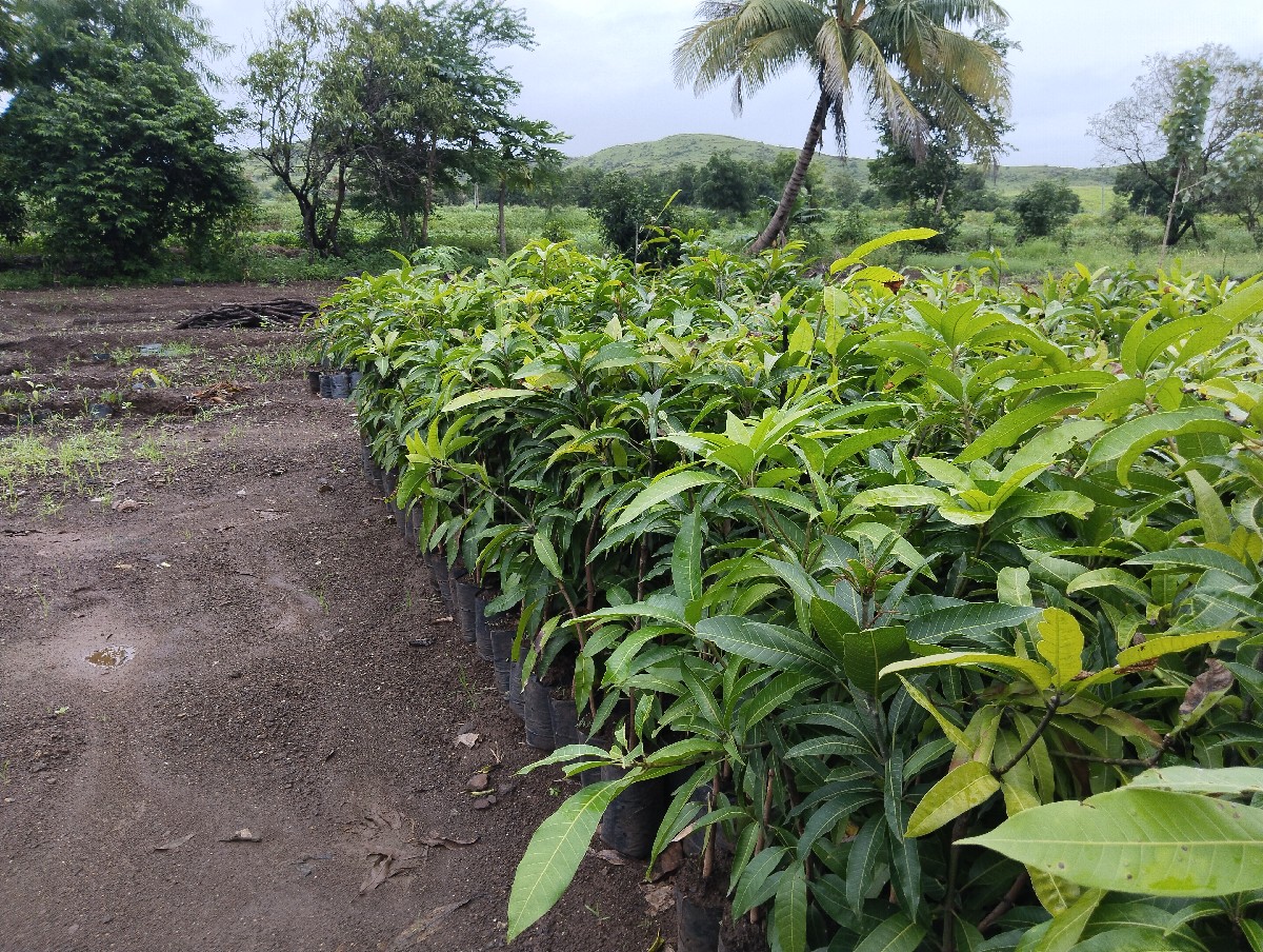 Post Image 6