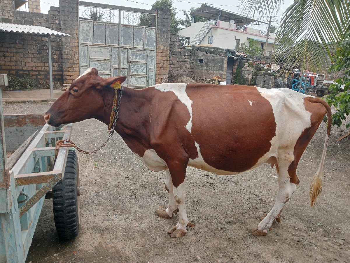 Post Image 1