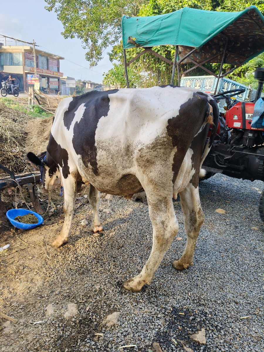 Post Image 4