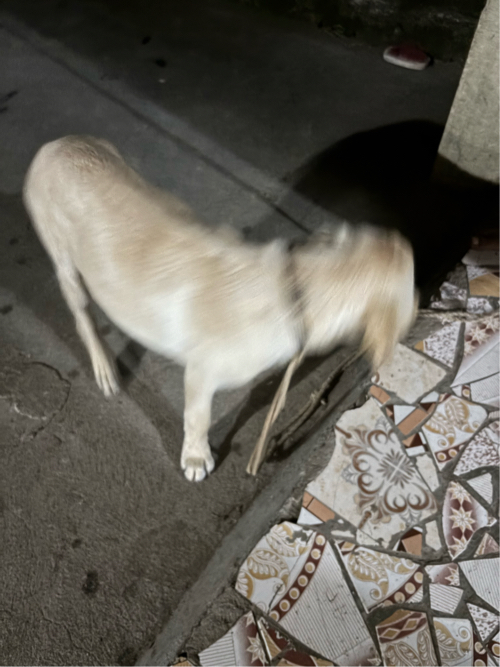 Post Image 2