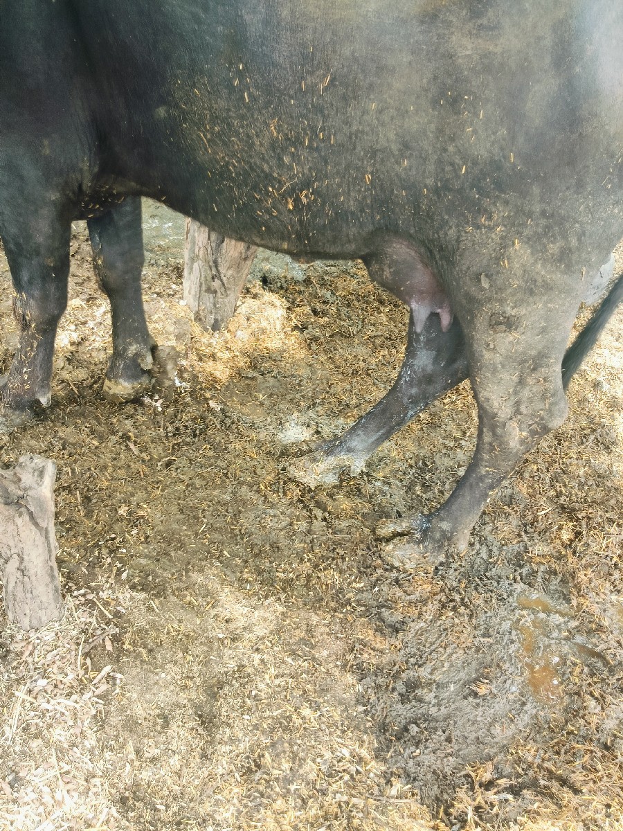 Post Image 6