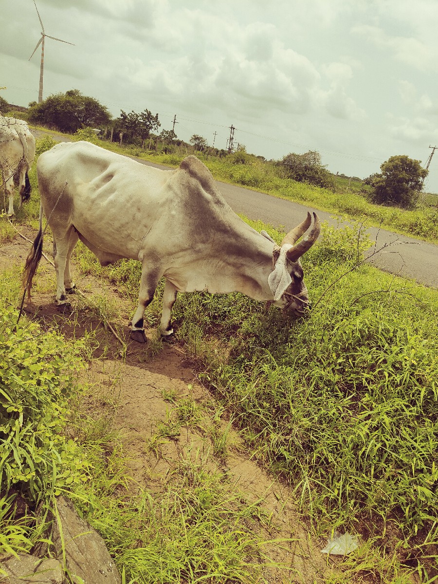 Post Image 3