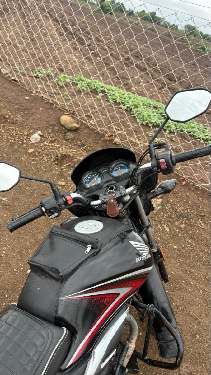 Post Image 3