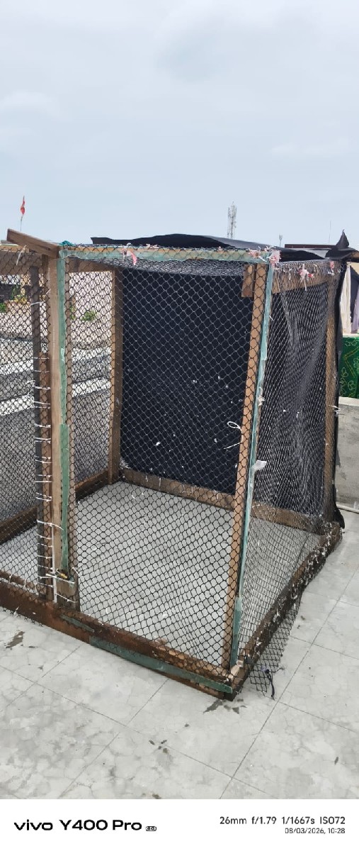 Post Image 2