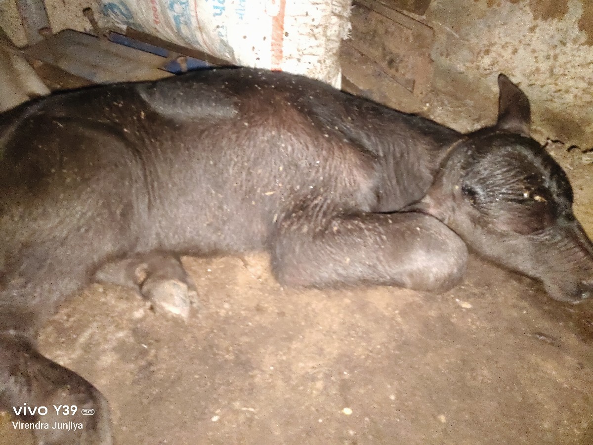 Post Image 2