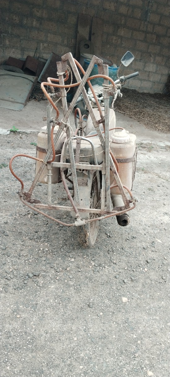 Post Image 3