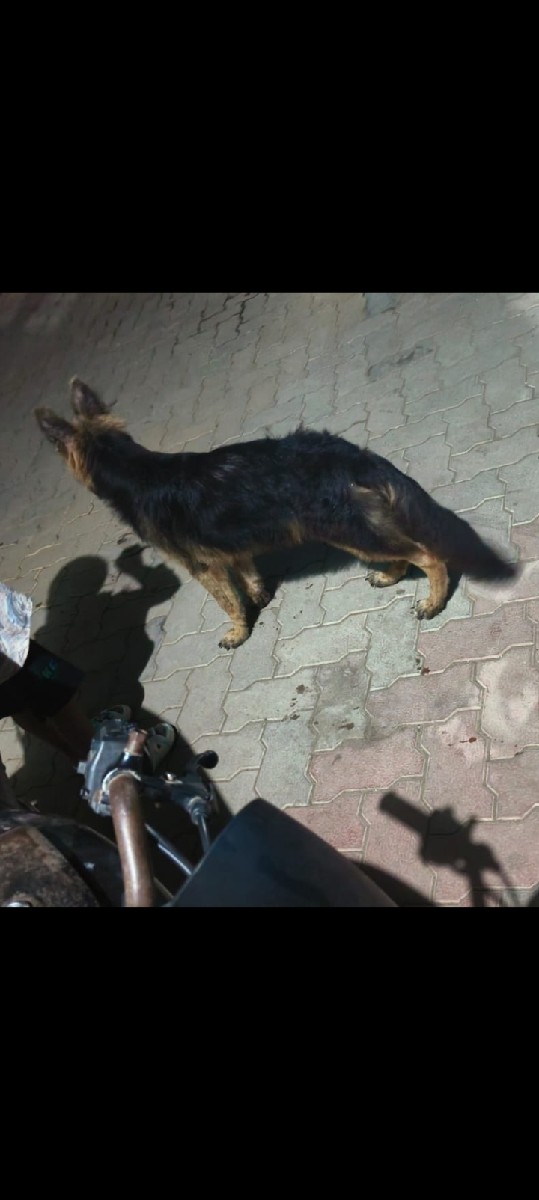 Post Image 1
