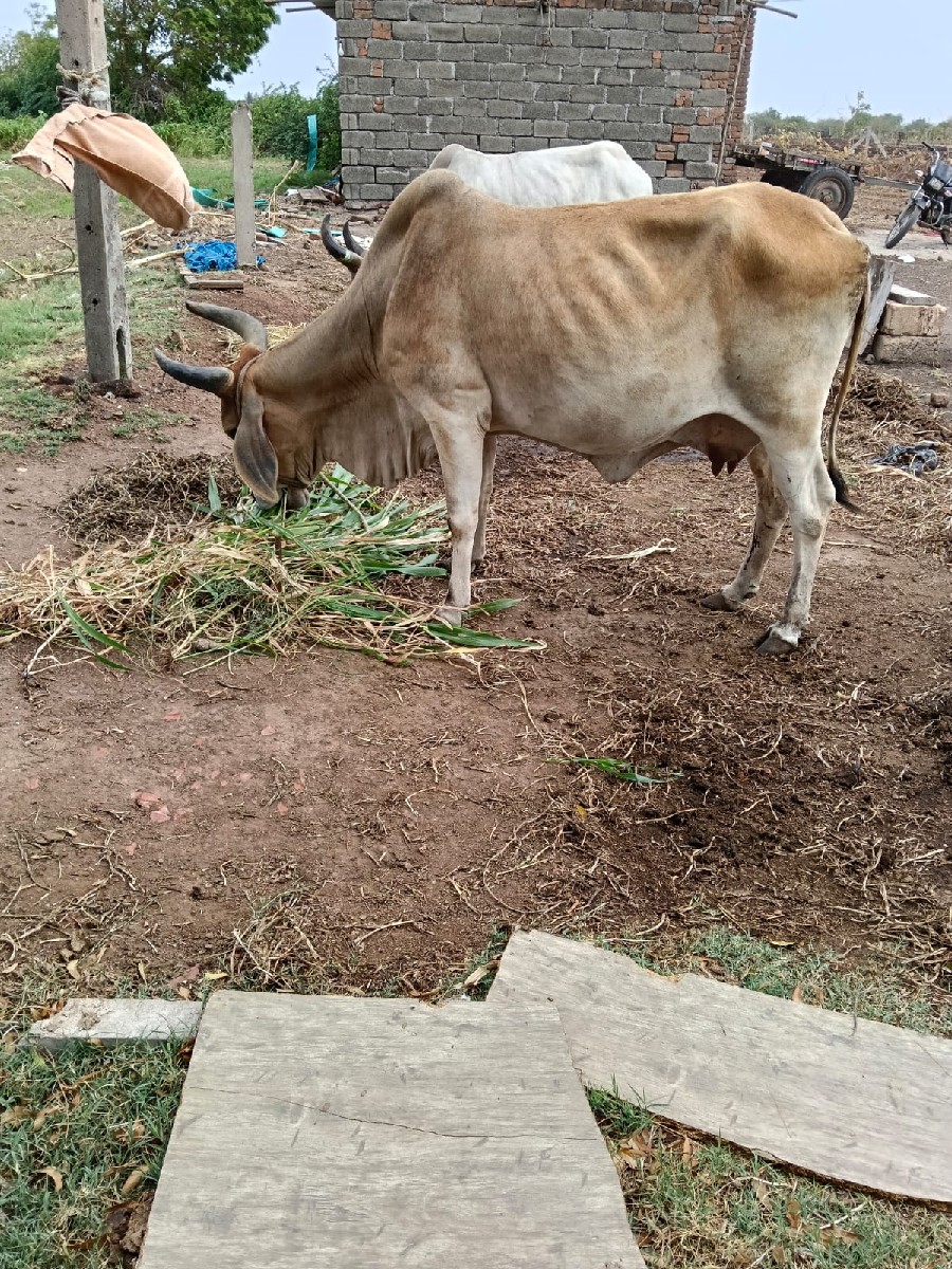 Post Image 3