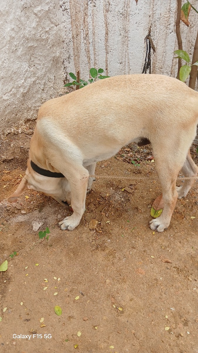 Post Image 2