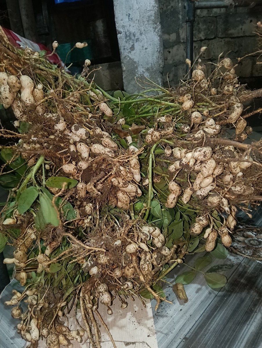 Post Image 3