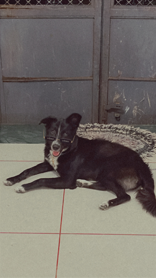 Post Image 3