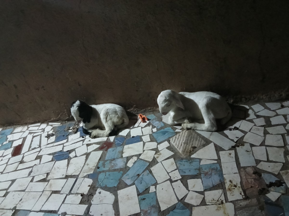 Post Image 1