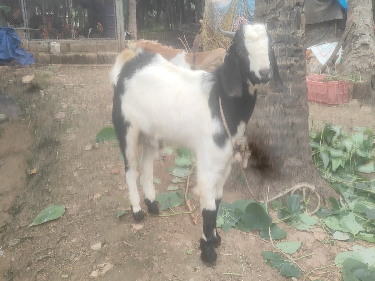 Post Image 2