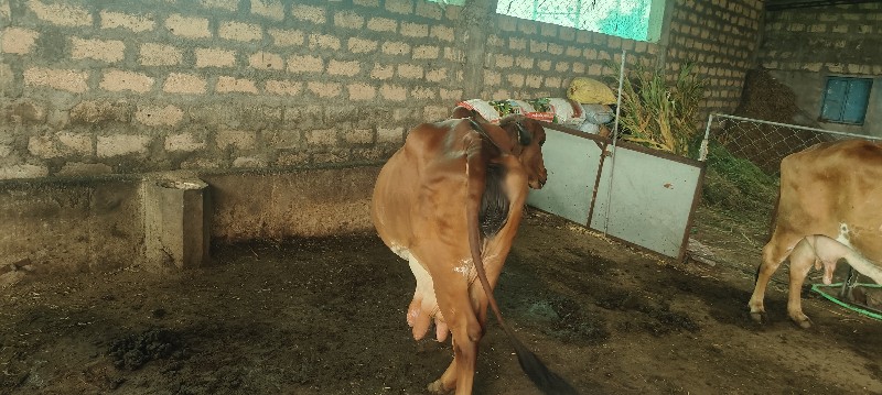 Post Image 2