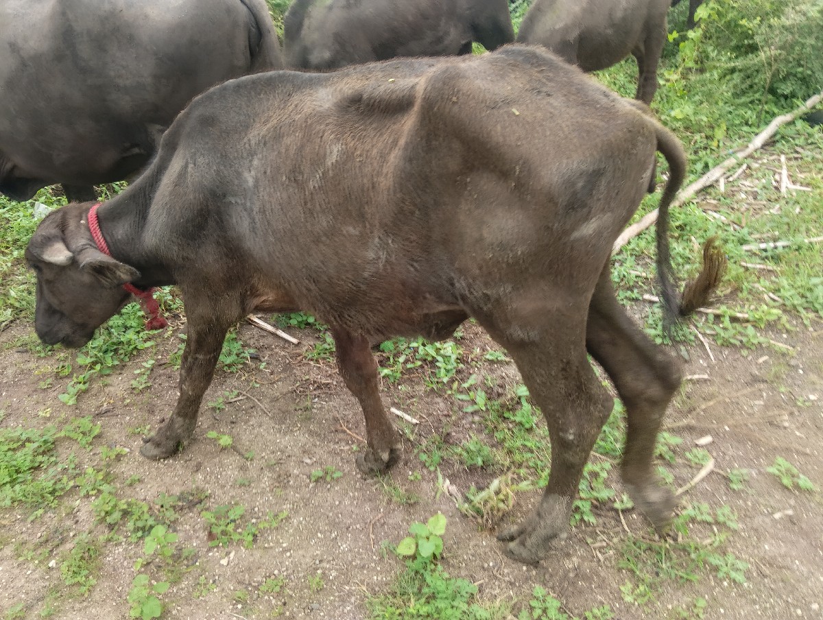 Post Image 2