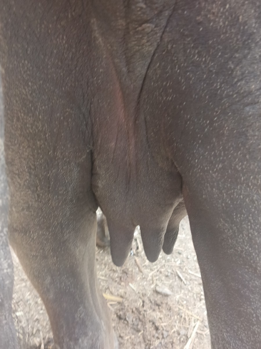 Post Image 5