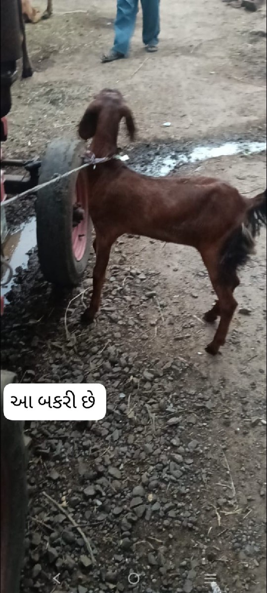 Post Image 2